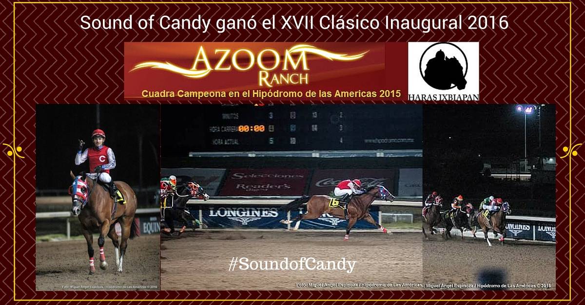 Sound of Candy ganó el XVII Clásico Inaugural 2016 | StallionMexSearch