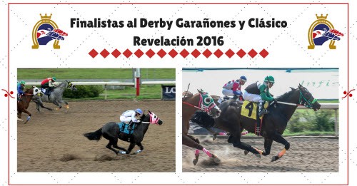 Finalistas al Derby Garañones y Clásico Revelación 2016 | StallionMexSearch